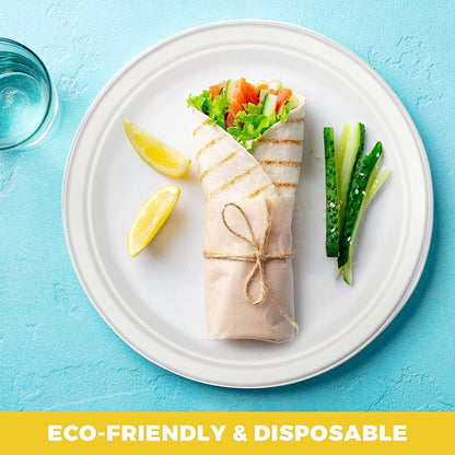 Heavy Duty Compostable Plates | 10 Inch Disposable Plates Made From Eco Friendly Sugarcane | These Party Paper Plates Are Great For Dinner, Appetizers, Camping, Catering, Concession Stands | 125 Pack - NY-HI