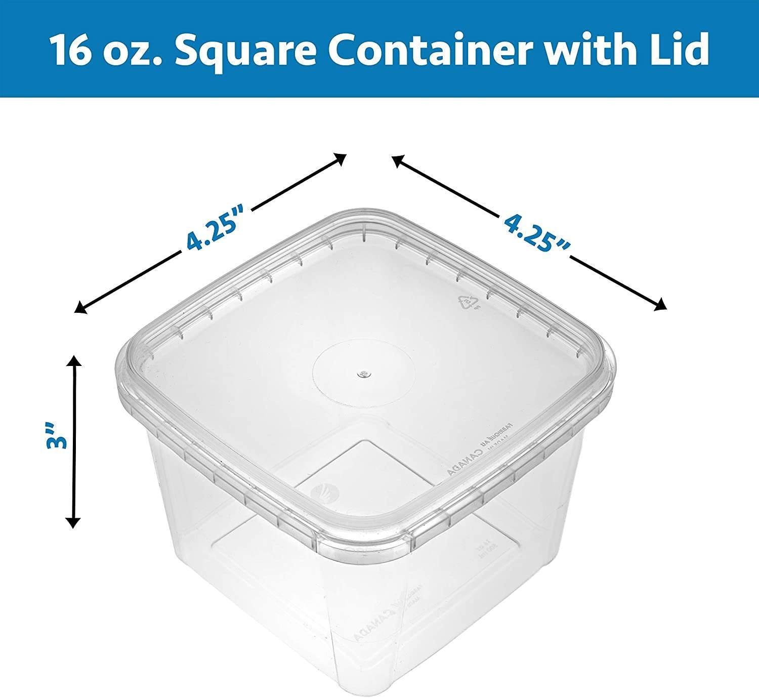 16oz Heavy Duty Clear Plastic Deli Containers with Lids for Soup –  EcoQuality Store