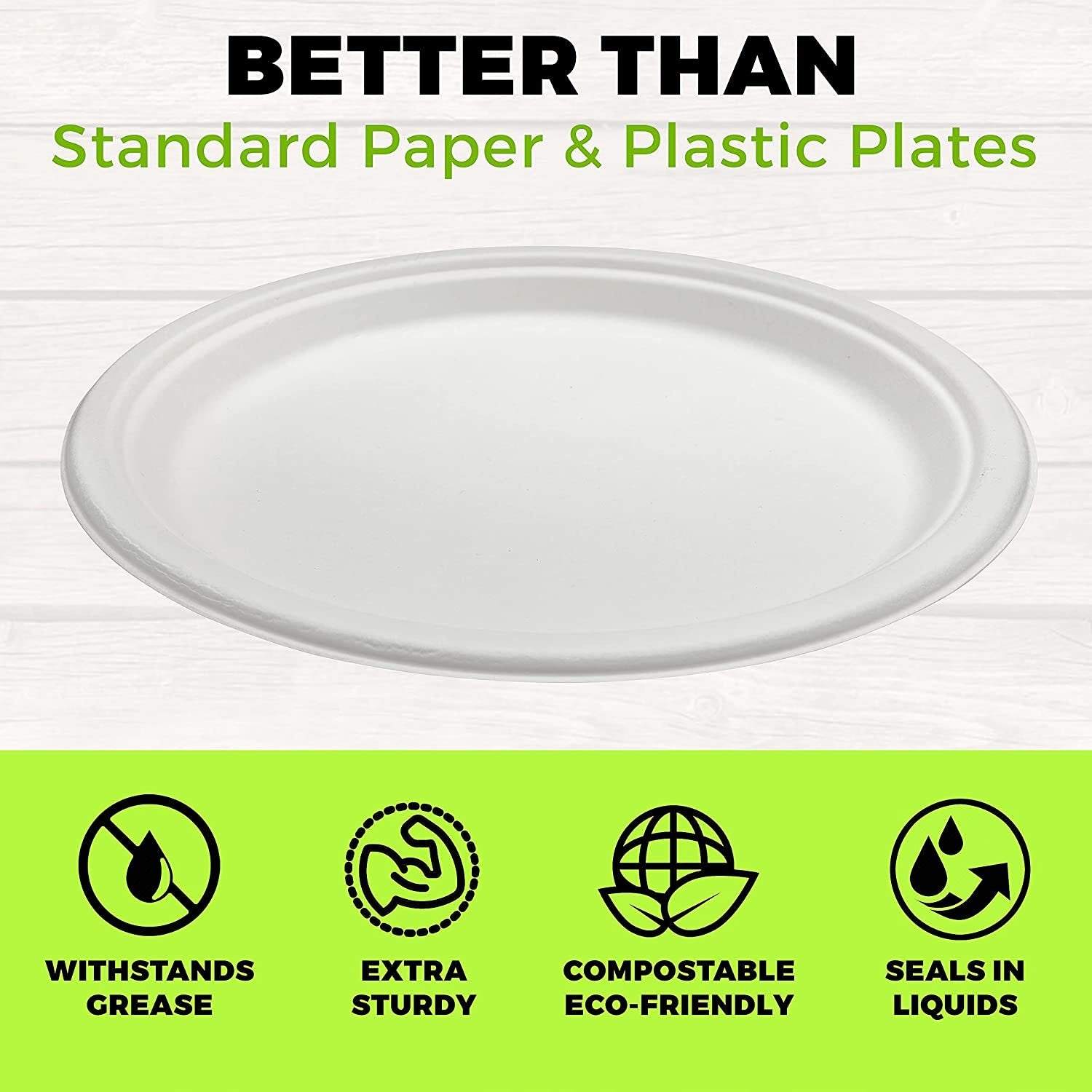 Heavy Duty Compostable Plates  10 Inch Disposable Plates Made From Ec